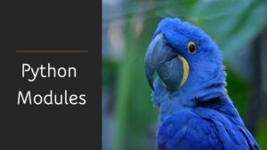 Read more about the article Python Modules